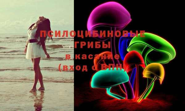 spice Абинск