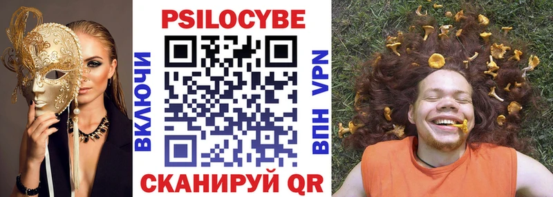 Галлюциногенные грибы Psilocybe  Ядрин 